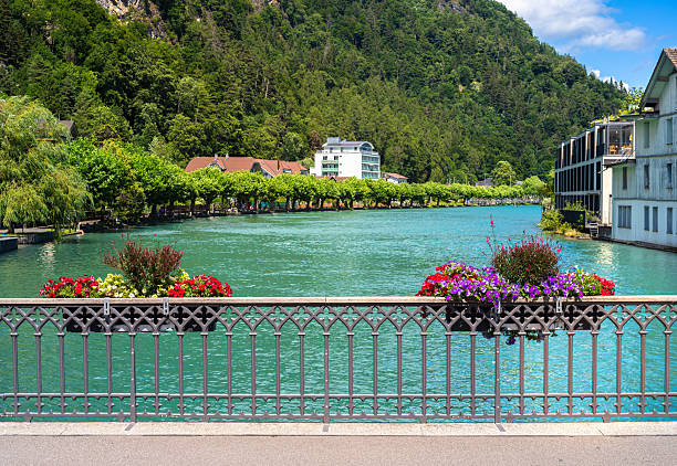 istockphoto 2229741426 612x612 1