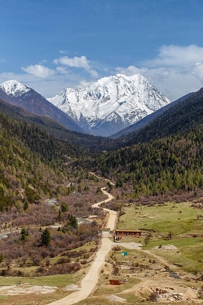 istockphoto 622061658 612x612 1