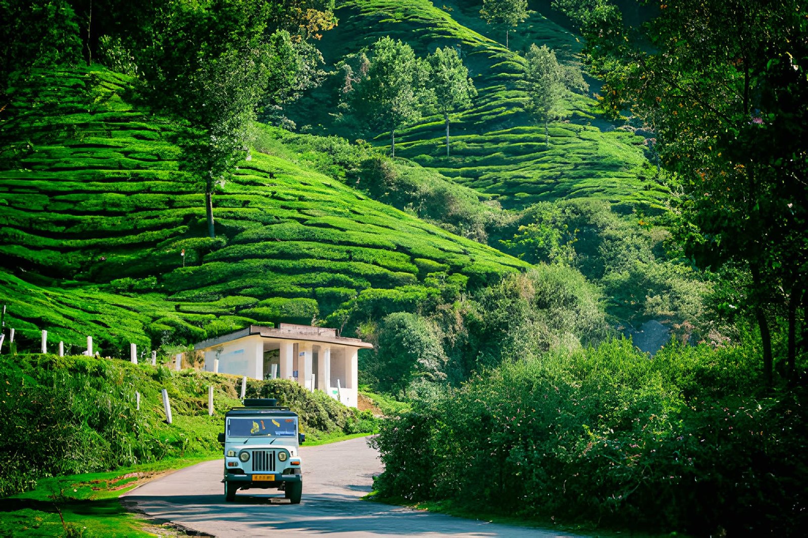 steptodown.com381048